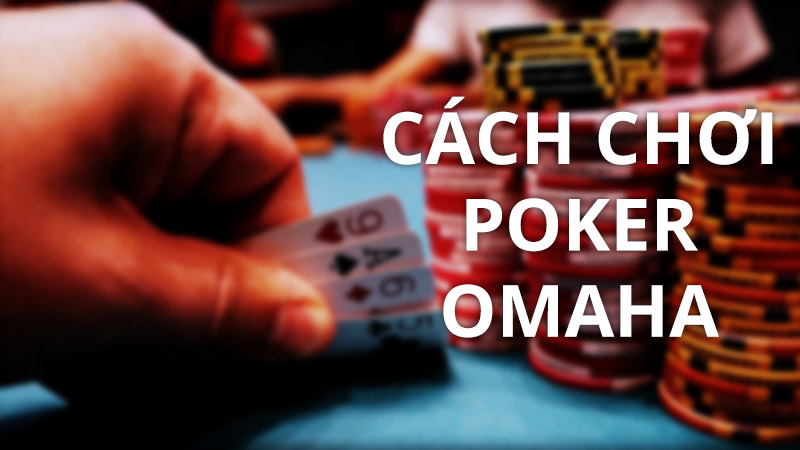 Hướng dẫn cách chơi poker Omaha cơ bản