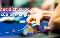 Mục đích đặt cược khi đánh bài poker là gì?